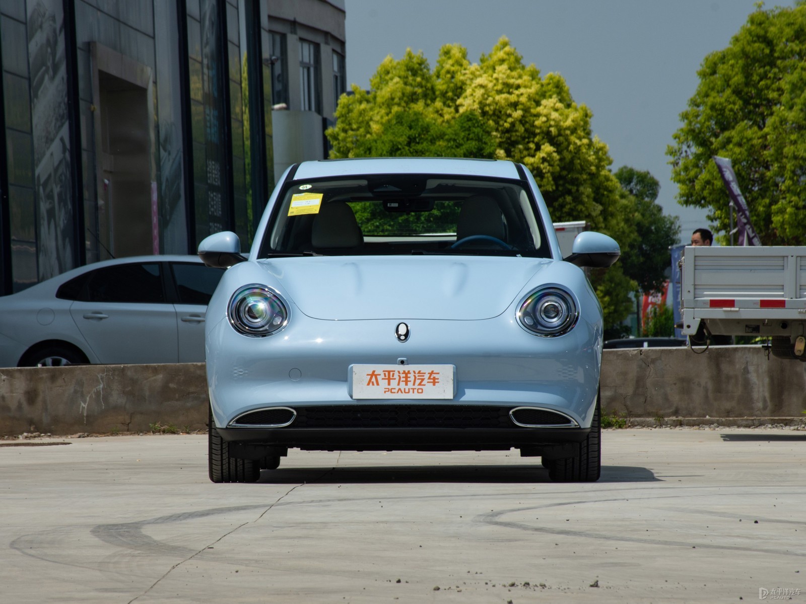 Ора Гуд Кэт — Экстерьер (3)