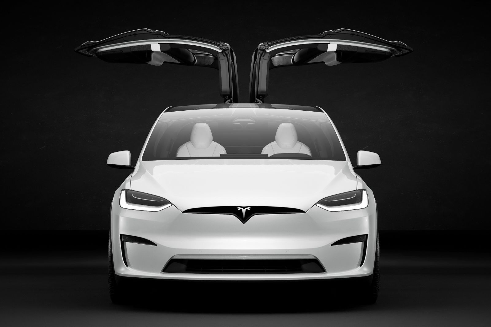 Tesla Model X Plaid — фото 10 Tesla Model X Plaid — фото 10