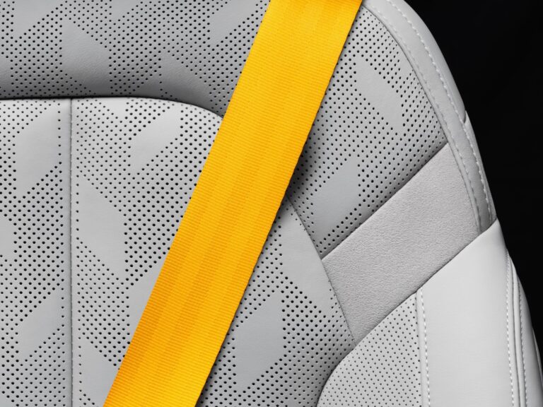 Polestar 2 Long range Dual motor — фото 26