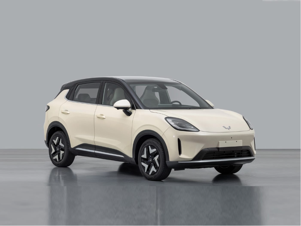 Улин Бинго — Экстерьер (13)