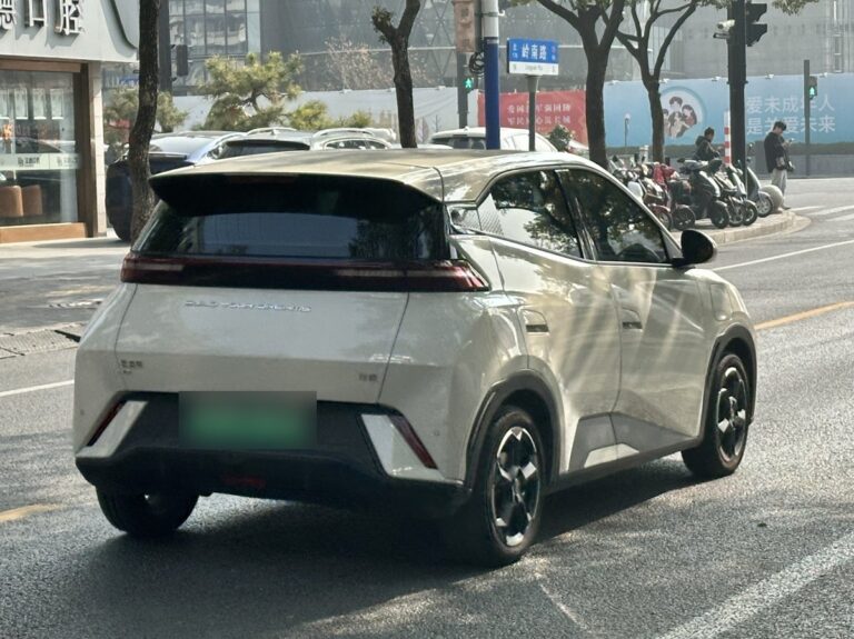 BYD Seagull первого поколения на улице в Китае, вид сзади